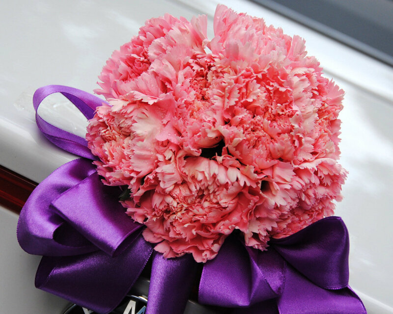 Pink Carnation Bouquet — Festive