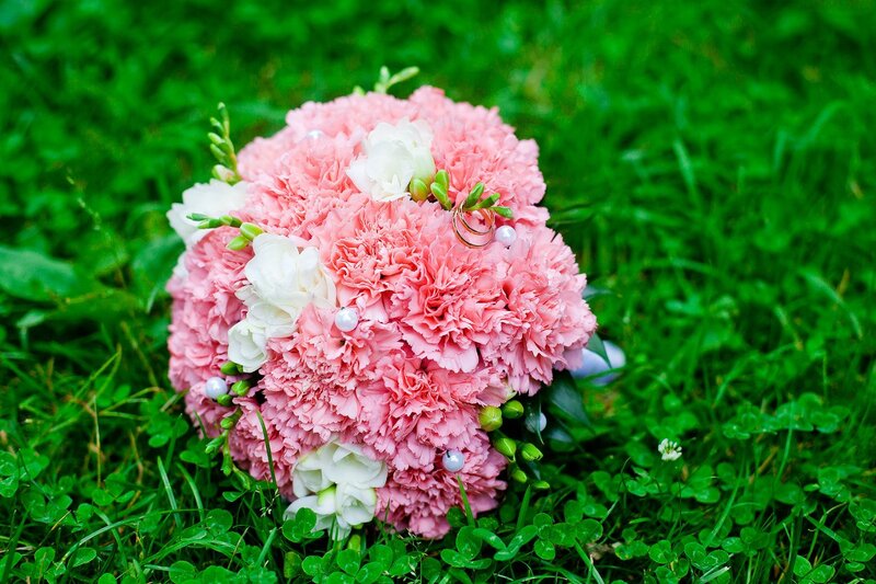 Pink Carnation Bouquet — Serene, Spring