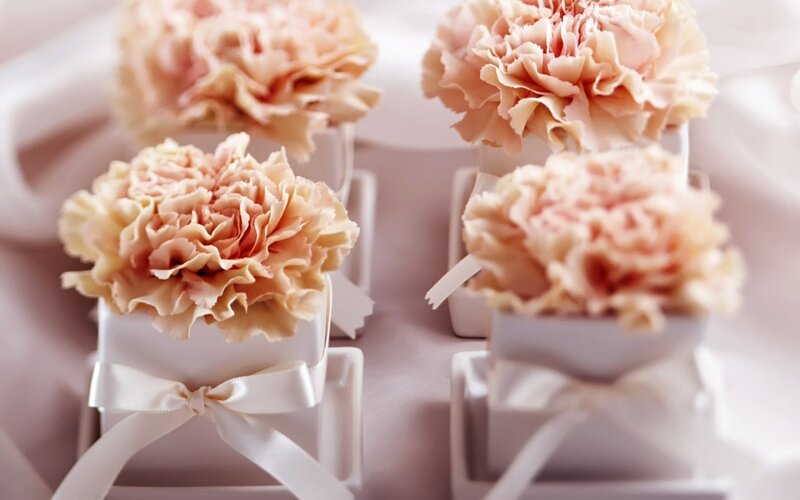 Pink carnation gift boxes