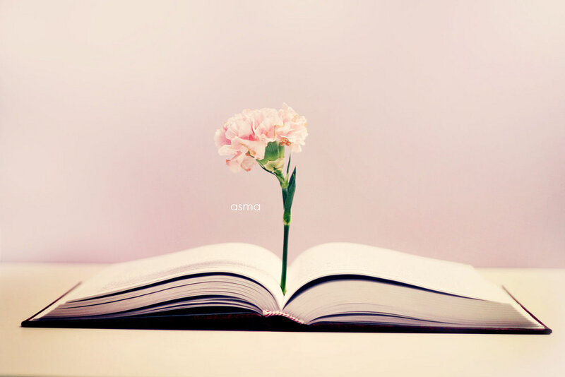 Pink Carnation in Book
