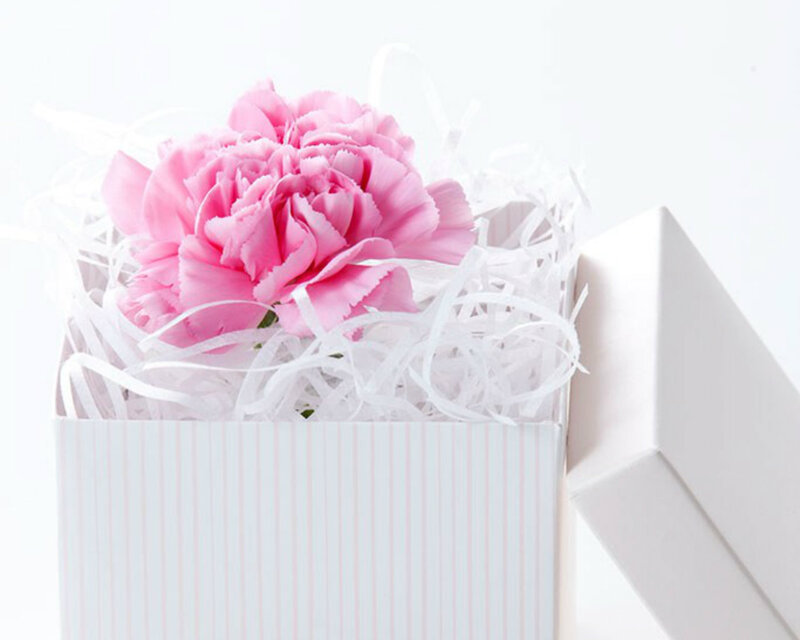 Pink Carnation in Box
