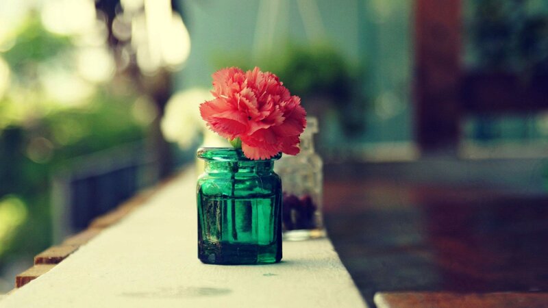 Pink Carnation in Green Jar