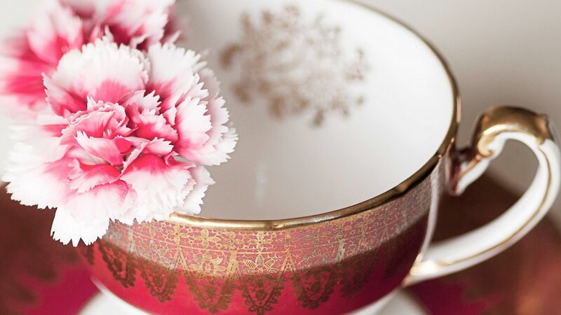 Pink Carnation in Teacup — Red