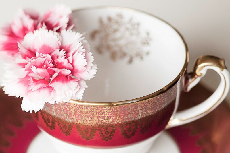 Pink Carnation in Teacup