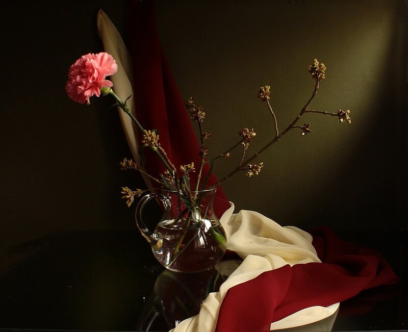 Pink Carnation in Vase — Red