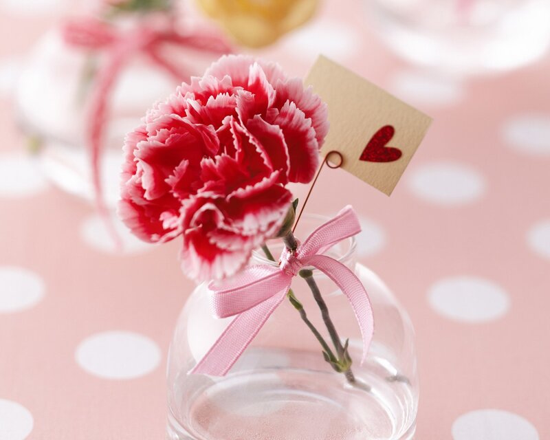 Pink Carnation in Vase