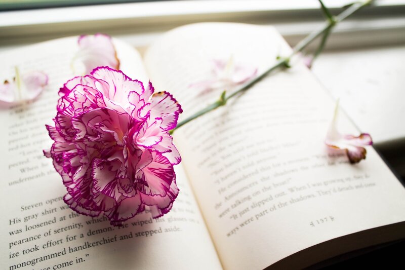 Pink Carnation on Book