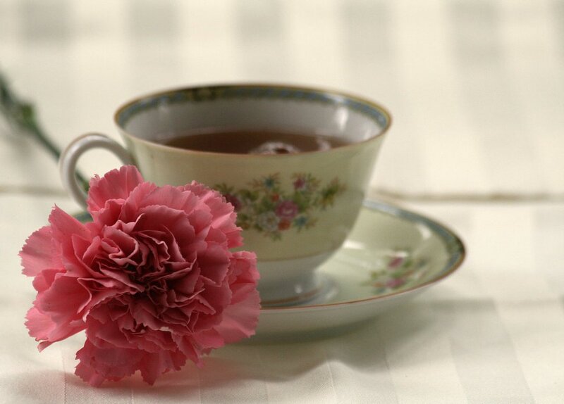 Pink Carnation with Teacup
