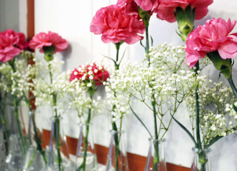 Pink Carnations and Baby's Breath