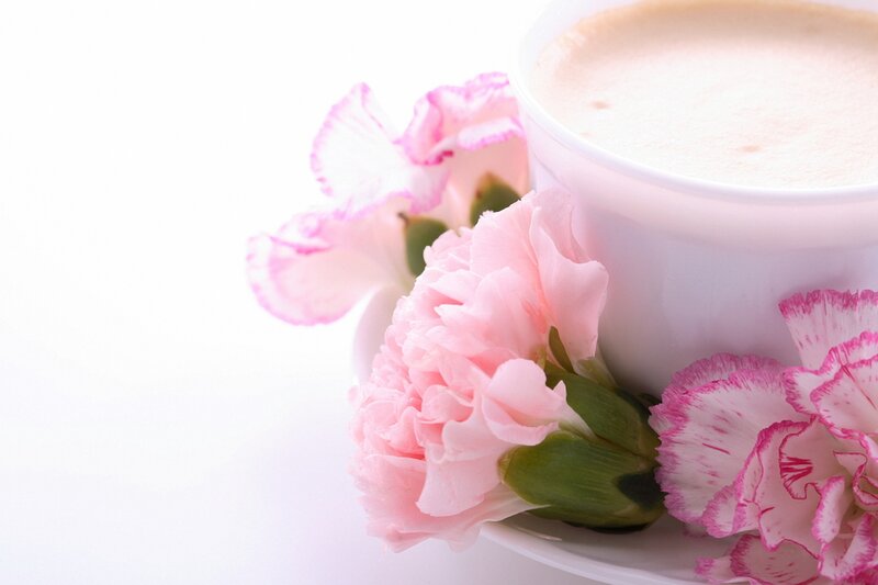 Pink Carnations and Coffee