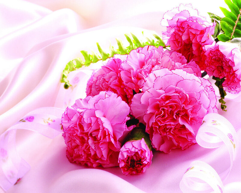 Pink Carnations Bouquet — Serene