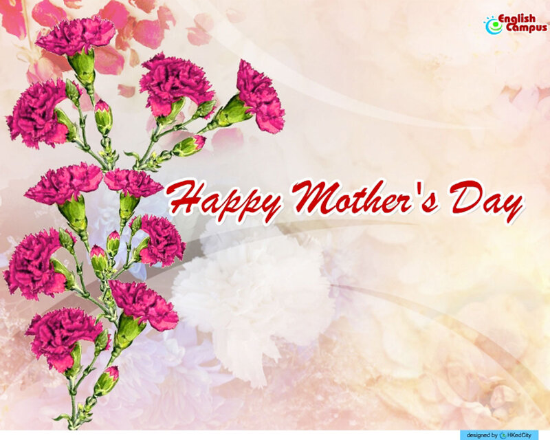 Pink Carnations — Celebratory