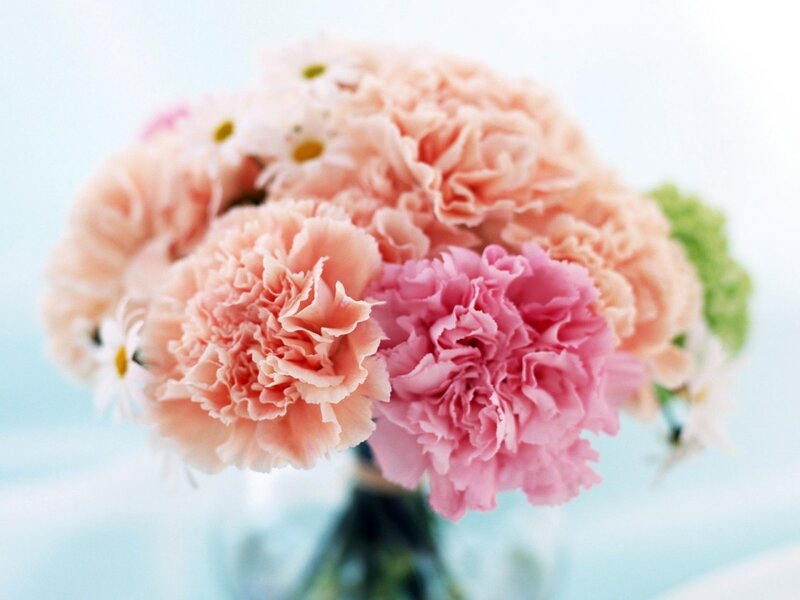 Pink carnations in a bouquet