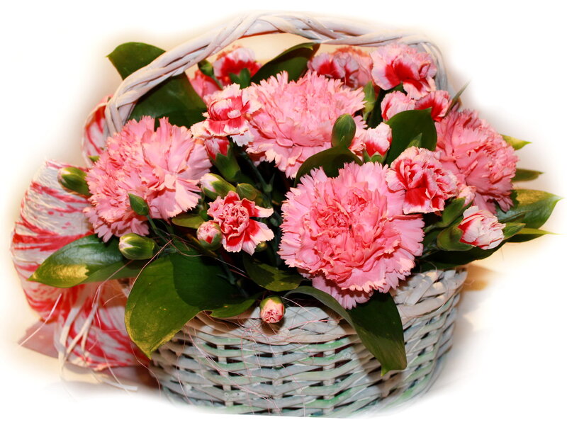 Pink Carnations in Basket