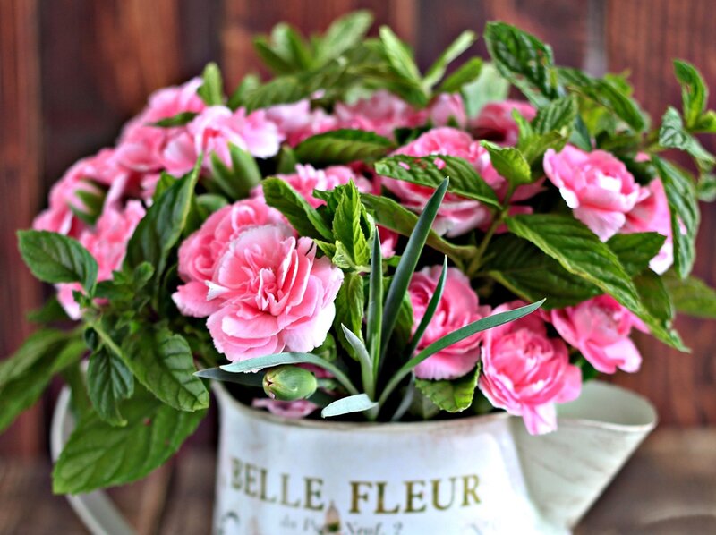Pink Carnations in Pitcher