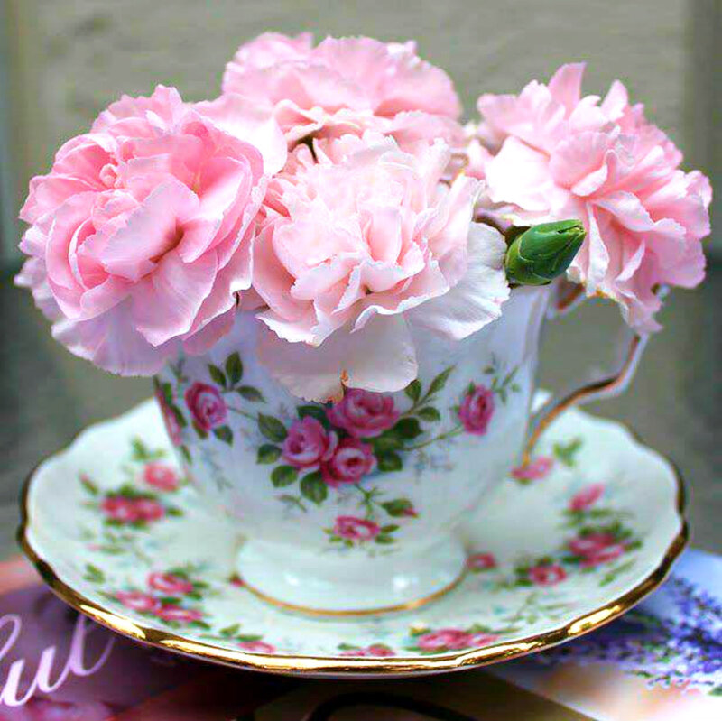 Pink Carnations in Teacup — Serene