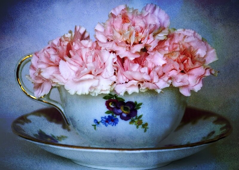 Pink Carnations in Teacup