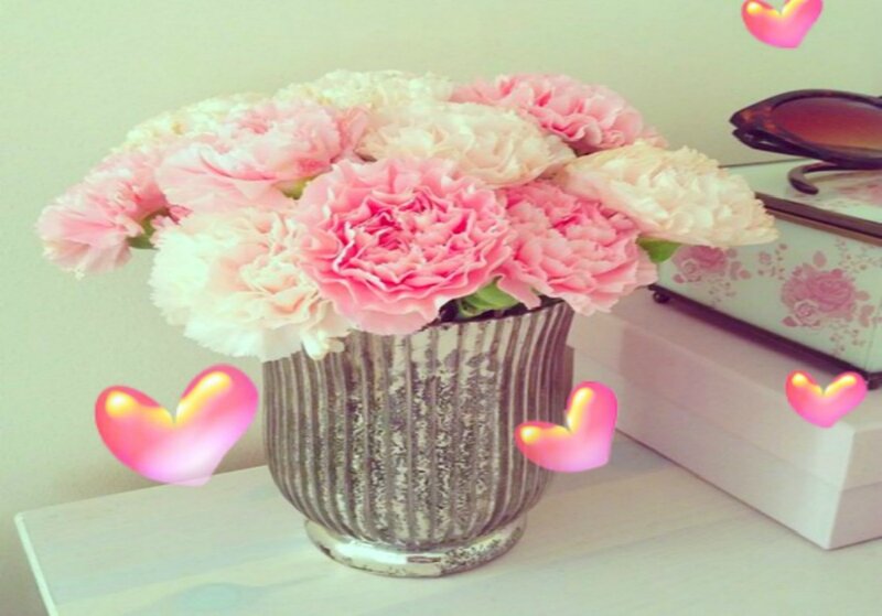 Pink Carnations in Vase — Calm, Photograph