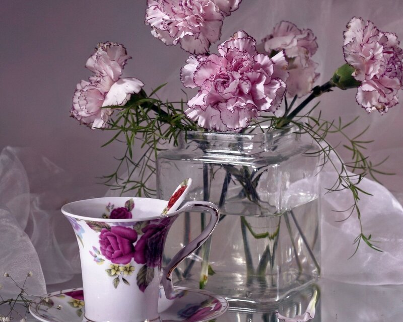Pink Carnations in Vase — Serene, Photograph, Tea Cup