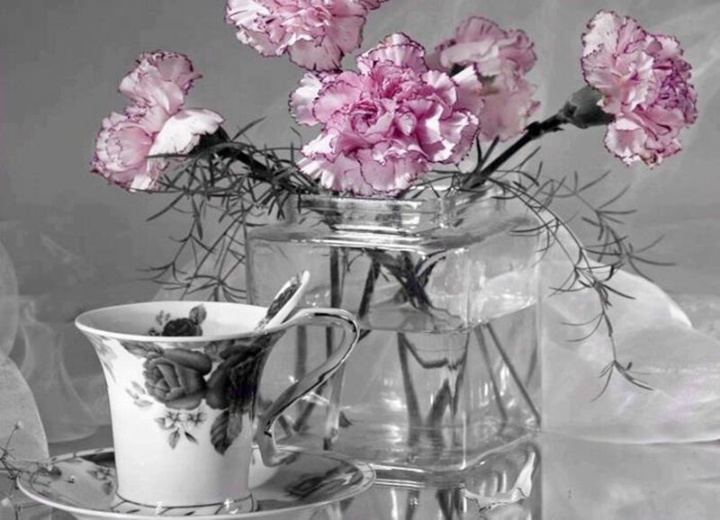 Pink Carnations in Vase — Serene, Photograph, Teacup