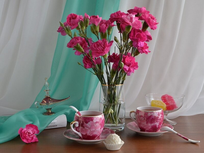 Pink Carnations in Vase — Serene, Photograph