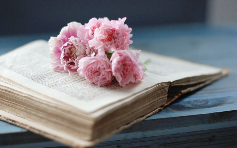 Pink Carnations on Book — Serene