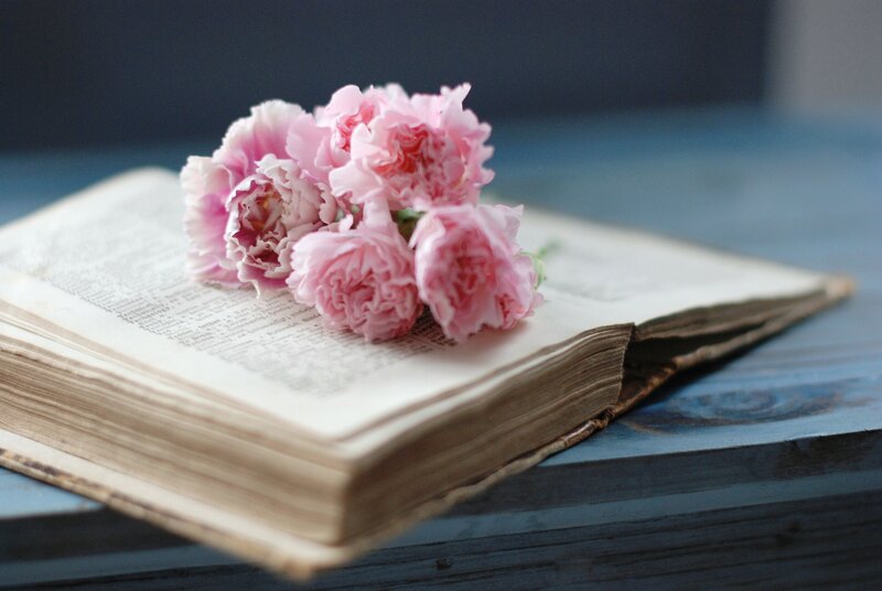 Pink Carnations on Book