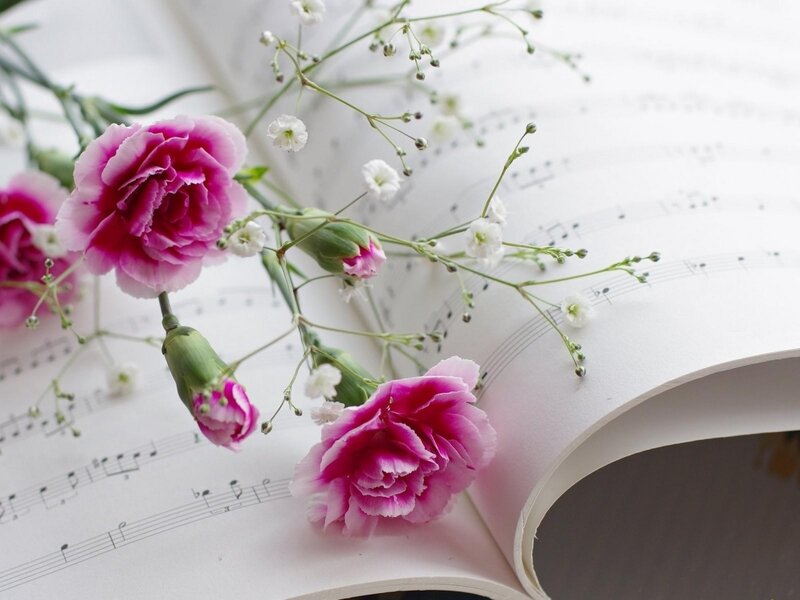 Pink Carnations on Sheet Music — Serene
