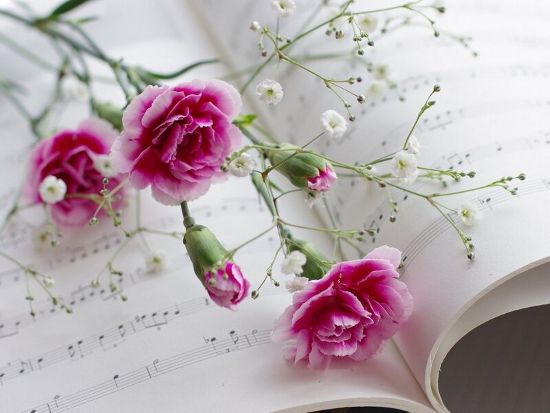 Pink Carnations on Sheet Music