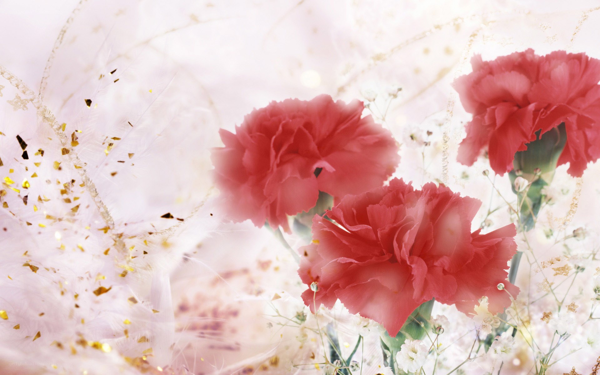 Pink carnations with gold confetti