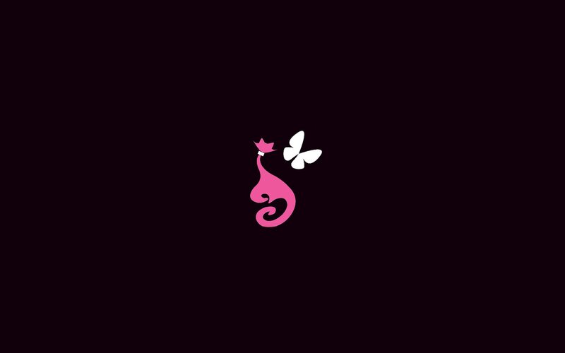 pink cat and white butterfly