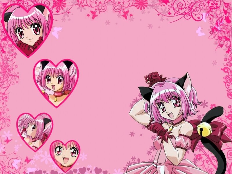 pink cat girl anime wallpaper