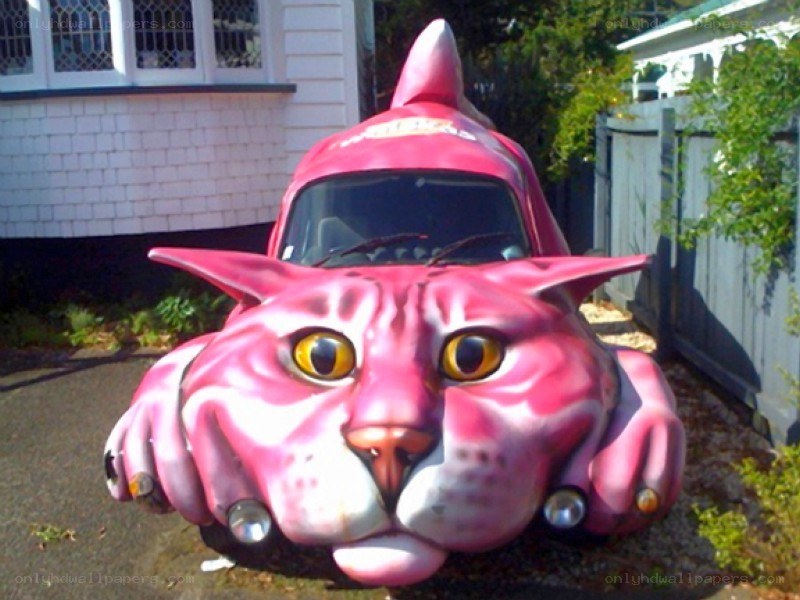 pink cat-shaped car