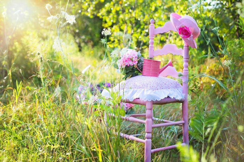 Pink Chair in Field — Serene