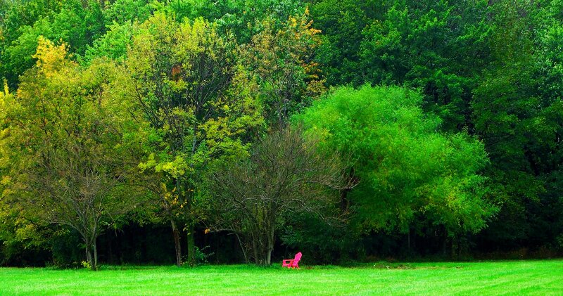 Pink Chair in Field