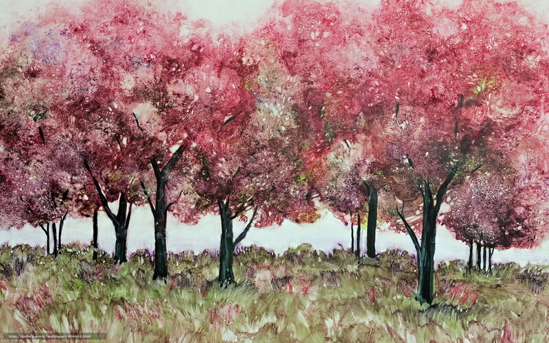 Pink cherry blossom trees