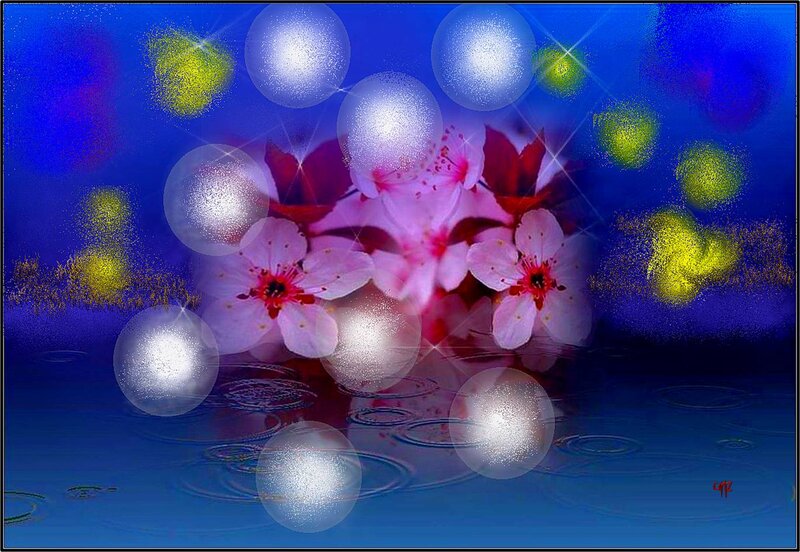 Pink Cherry Blossoms — Blue