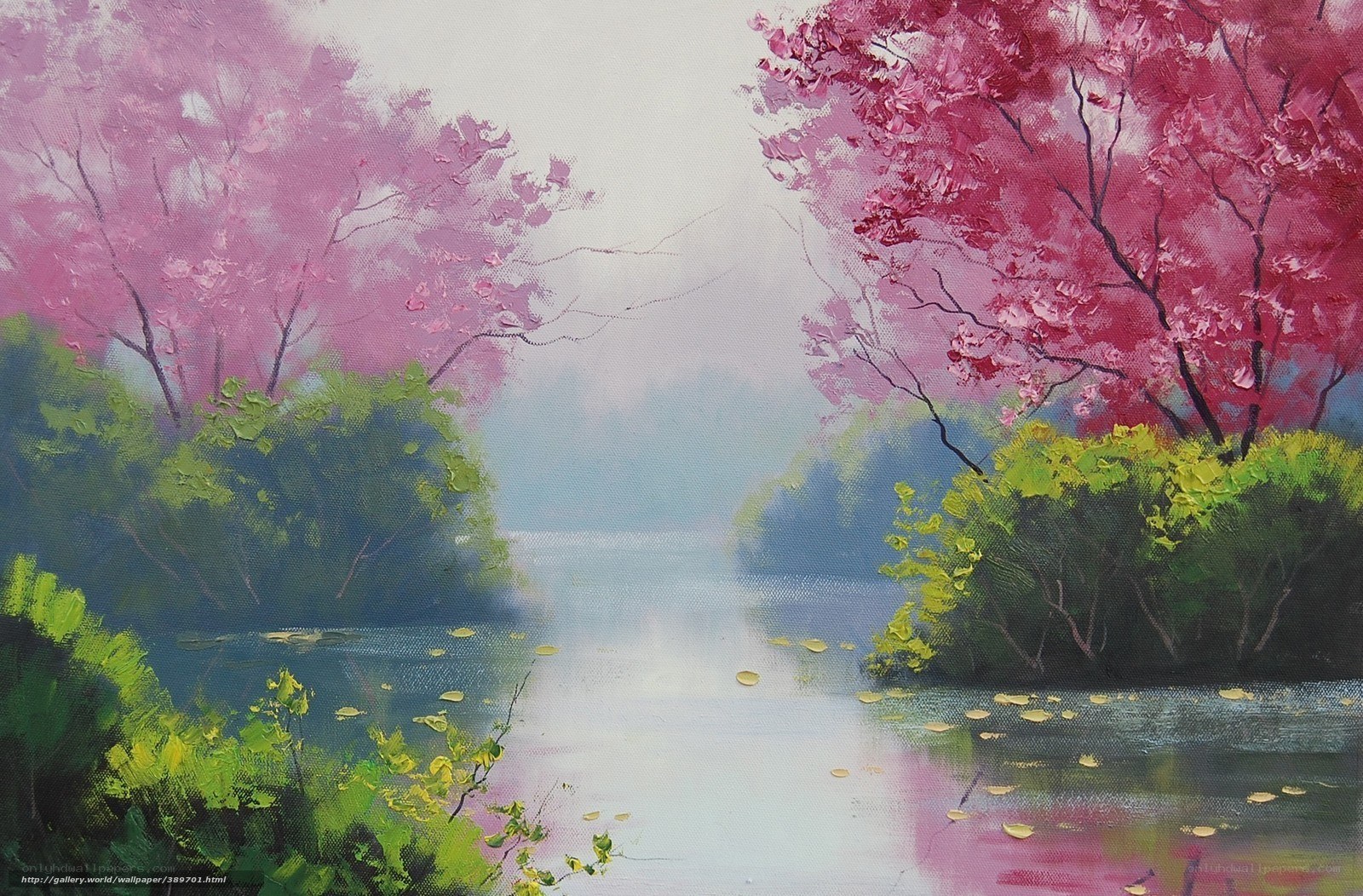 Pink cherry blossoms by a river