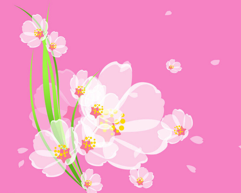 Pink Cherry Blossoms — Calm, Spring, Vector Art