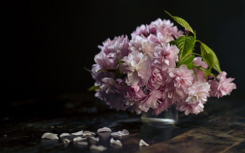 Pink Cherry Blossoms — Dramatic, Photograph, Vase