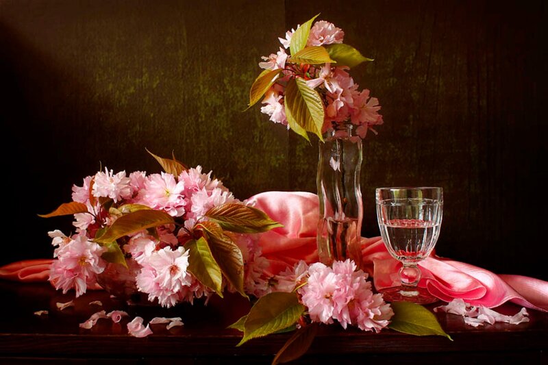 Pink Cherry Blossoms — Dramatic