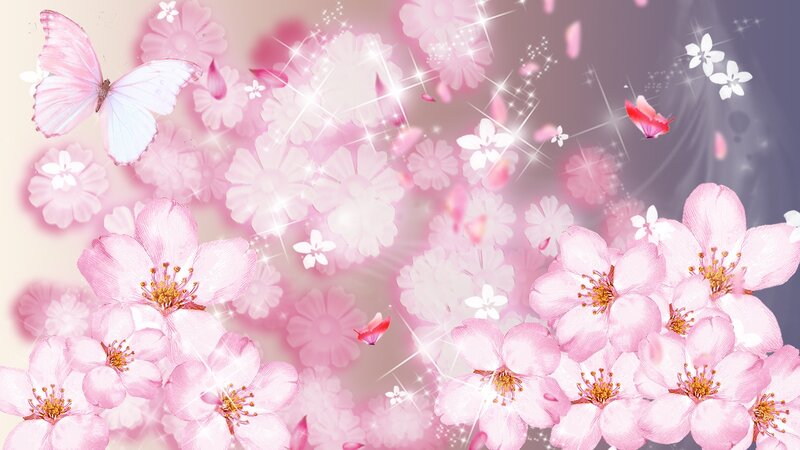Pink Cherry Blossoms — Dreamy, Spring, Digital Art