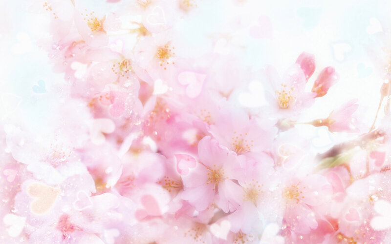 Pink Cherry Blossoms — Dreamy, Spring