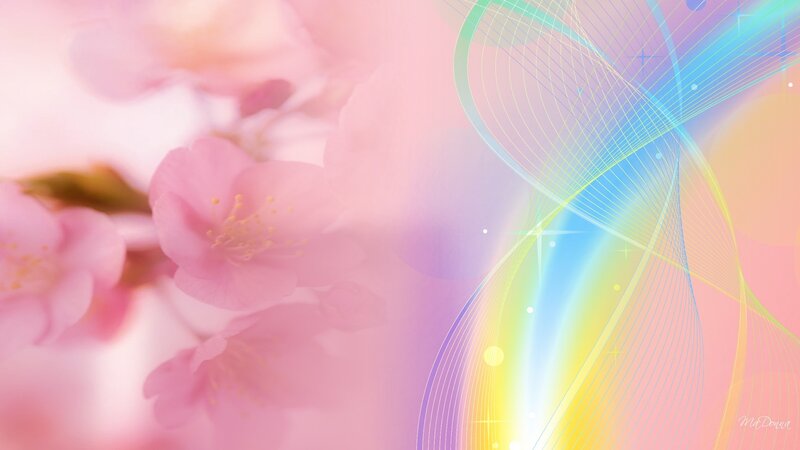 Pink Cherry Blossoms — Dreamy