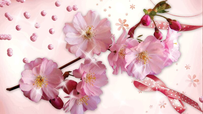 Pink Cherry Blossoms — Festive