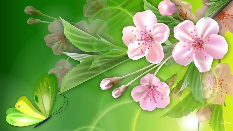 Pink Cherry Blossoms — Green, Serene