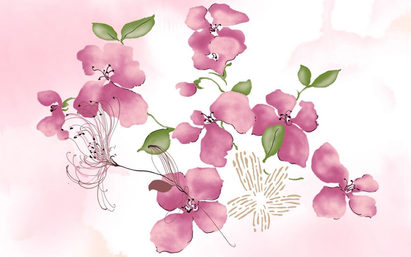 pink cherry blossoms illustration