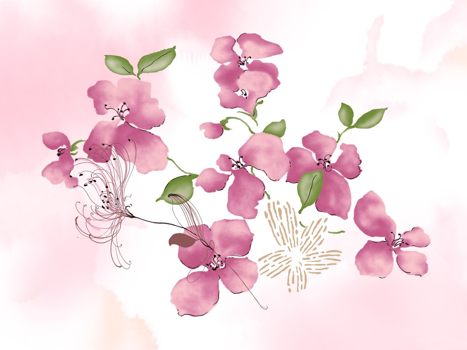 pink cherry blossoms illustration