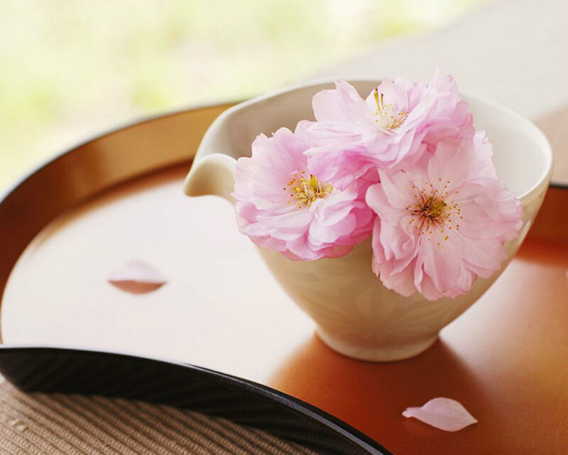 Pink Cherry Blossoms in Bowl