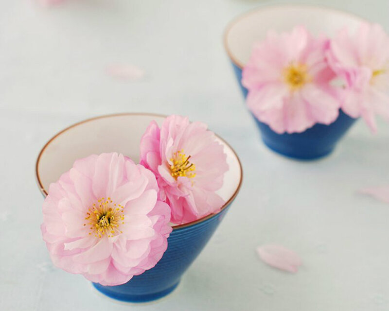 Pink Cherry Blossoms in Bowls